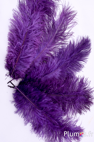 Autruche - 30-40 cm - aubergine